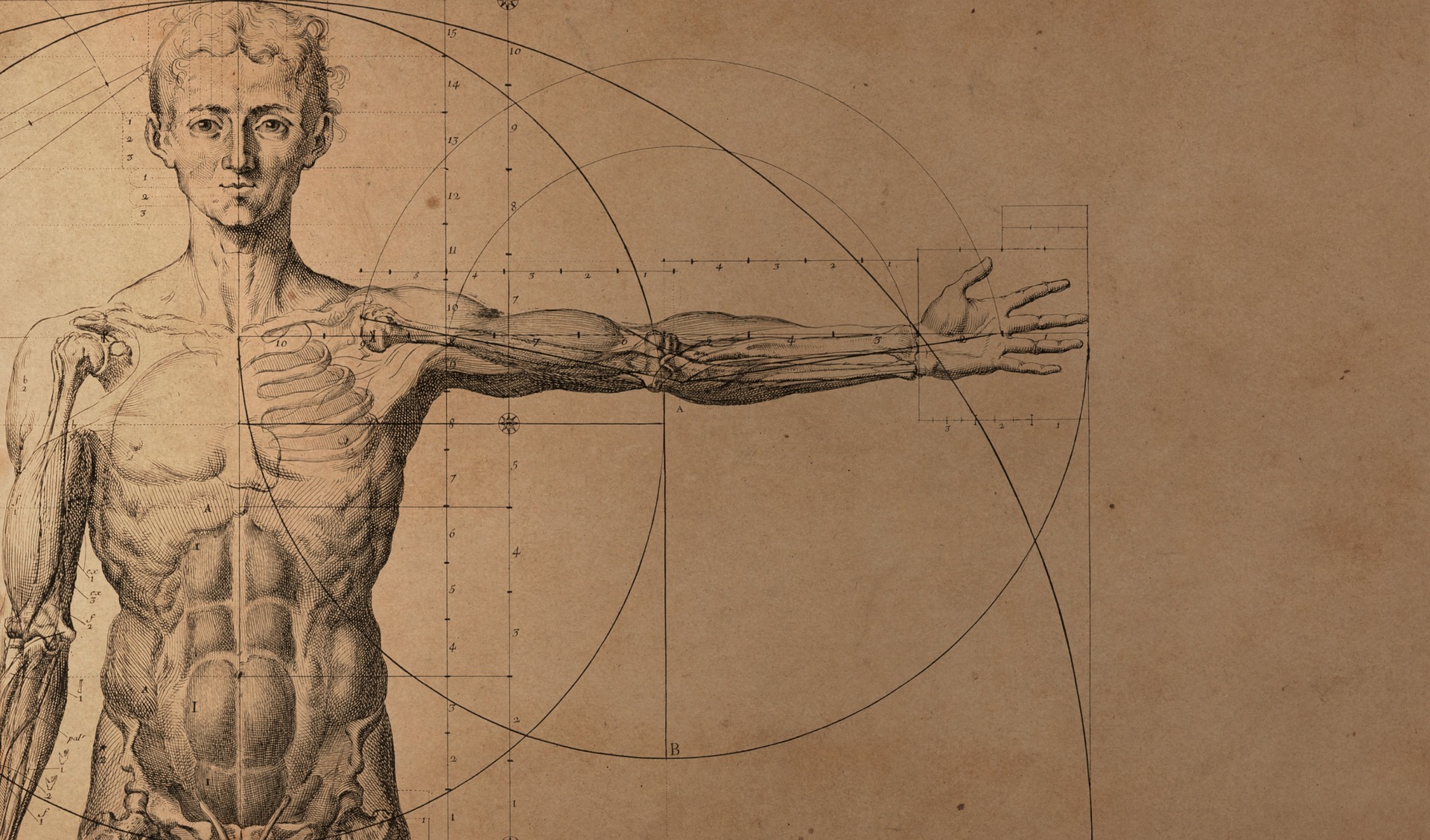 Scopri di più sull'articolo Corpo e mente